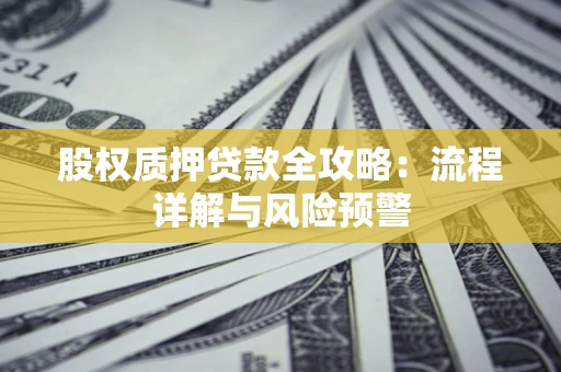 武汉股权质押贷款全攻略：流程详解与风险预警