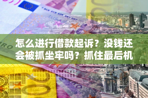 武汉怎么进行借款起诉？没钱还会被抓坐牢吗？抓住最后机会！