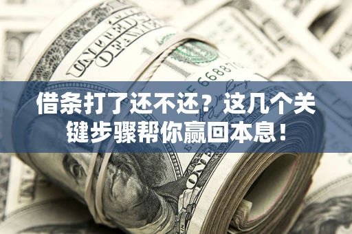 武汉借条打了还不还？这几个关键步骤帮你赢回本息！