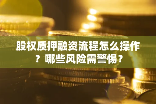 武汉股权质押融资流程怎么操作？哪些风险需警惕？