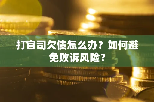 武汉打官司欠债怎么办？如何避免败诉风险？