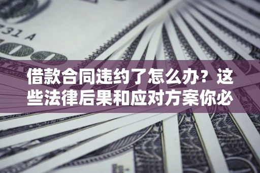 武汉借款合同违约了怎么办？这些法律后果和应对方案你必须知道
