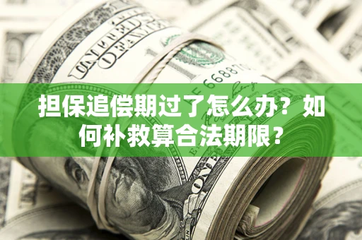 武汉担保追偿期过了怎么办？如何补救算合法期限？