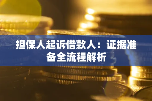 武汉担保人起诉借款人：证据准备全流程解析
