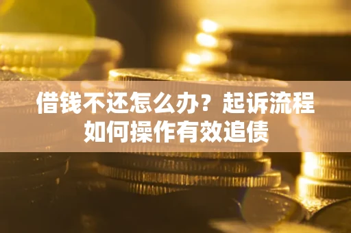 武汉借钱不还怎么办？起诉流程如何操作有效追债
