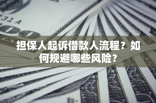 武汉担保人起诉借款人流程？如何规避哪些风险？