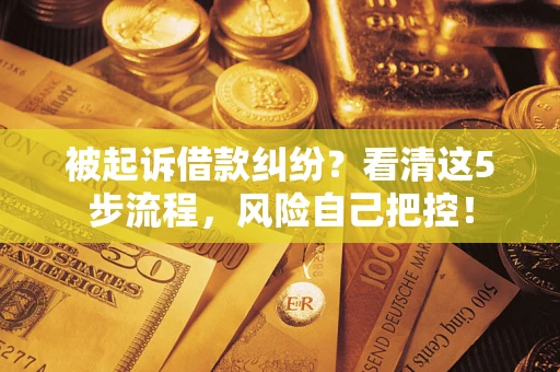 武汉被起诉借款纠纷？看清这5步流程，风险自己把控！