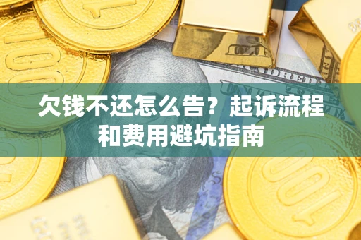 武汉欠钱不还怎么告？起诉流程和费用避坑指南