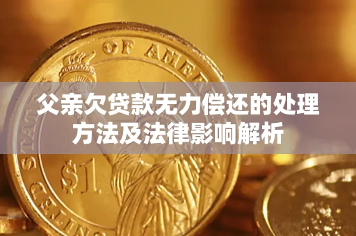 武汉父亲欠贷款无力偿还的处理方法及法律影响解析