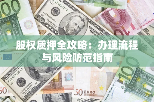 武汉股权质押全攻略：办理流程与风险防范指南