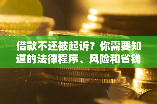 武汉借款不还被起诉？你需要知道的法律程序、风险和省钱技巧